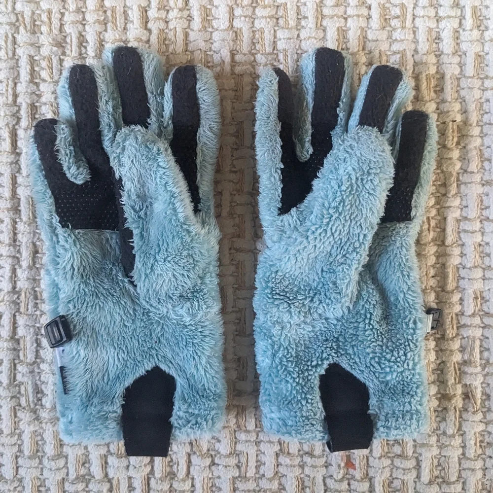 The North Face Gloves